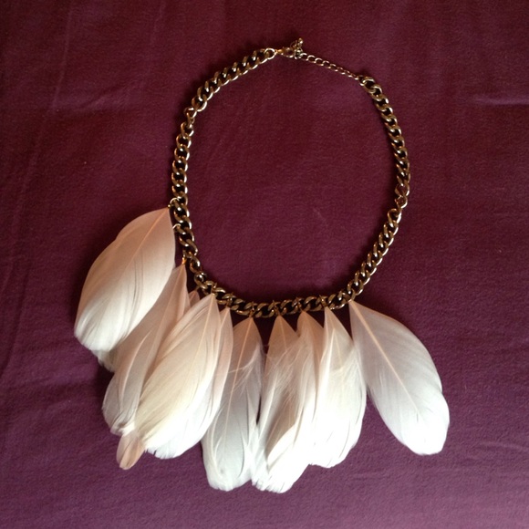 H&M Jewelry - Beautiful Feather Choker Necklace