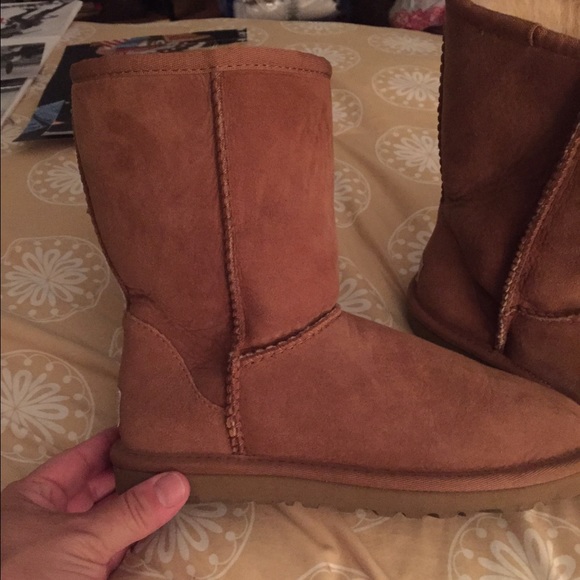 Short classic uggs chestnut
