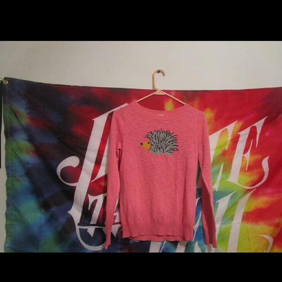 Pink hedgehog sweater