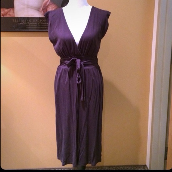 Perfect For TALL GIRLS! J. Crew Jersey Dress