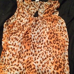 Cheetah tank