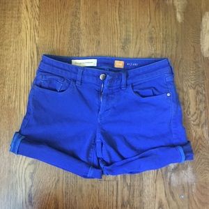 Blue anthropologie shorts