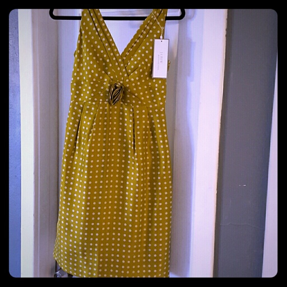 Darling J Crew polka dot dress