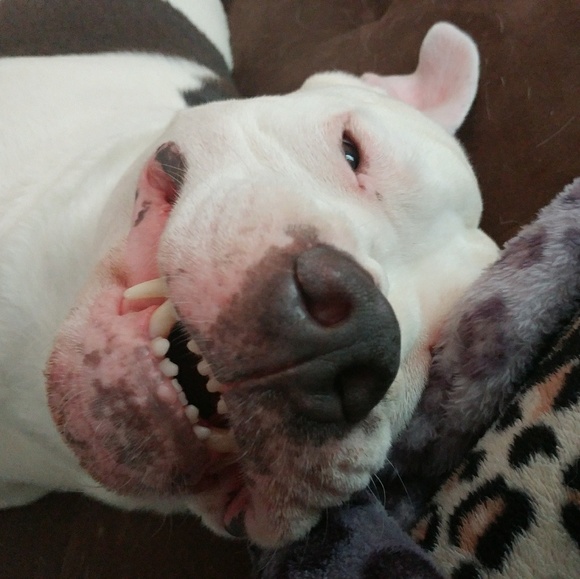 Me, my kiddos, and my twin granddaughters ❤ - Picture 5 of 7