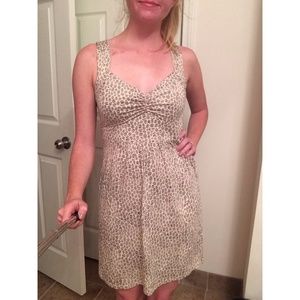 Ann Taylor Loft Dress