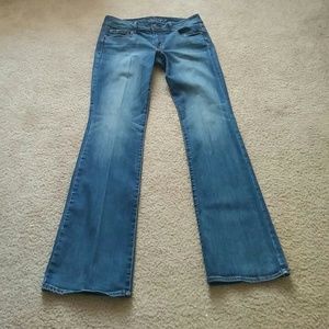 American Eagle Jeans (14/X-Long)
