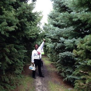 Meet your Posher, Ariel