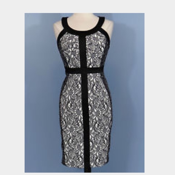Jax black and white lace body contouring dress