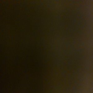 Meet your Posher, Ronisha