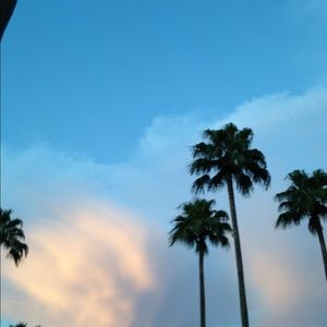 Meet your Posher, Cass