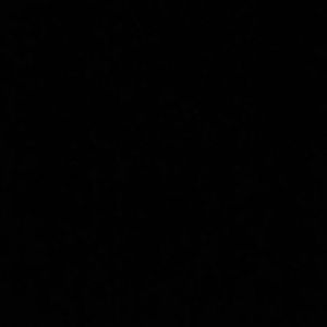 Meet your Posher, Dustin