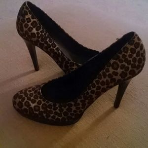 Leopard Print Colin Stuart Shoes