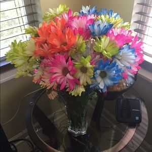 Meet your Posher, Carolina