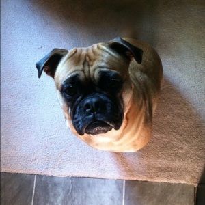 Meet your Posher, Brett