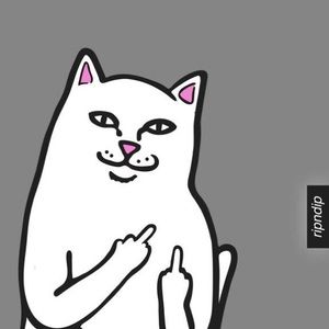 Meet your Posher, Ian