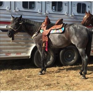 Meet your Posher, Kayla