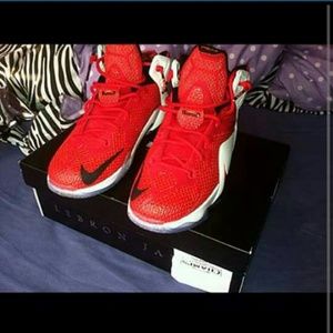 Lebron 12 heart of a lion