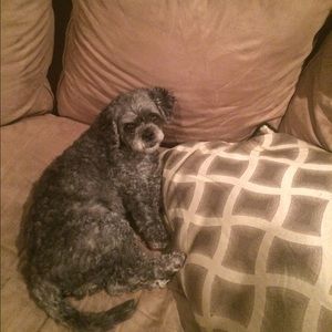 Meet your Posher, Haley