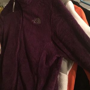 Purple north face