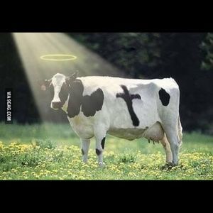 Meet your Posher, Sethe