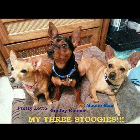 MEET YOUR SELLER, Hi I'm Liza! - Picture 4 of 4