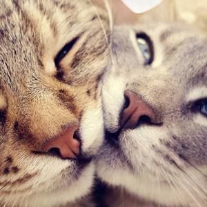 Meet your Posher, Larisa