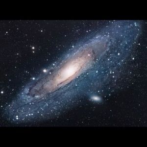 Meet your Posher, Zena