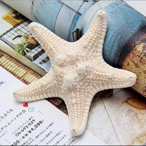 Starfish hair clip, flower cat ears & watch bundle