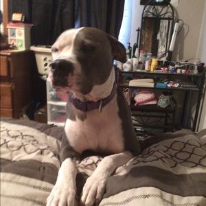 Meet your Posher, Emma