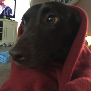 Meet your Posher, Allison