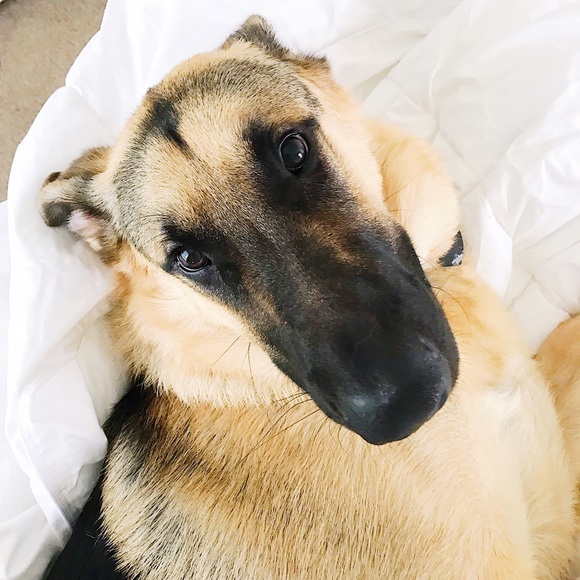 Hi 💁🏻 Poshers! - Picture 4 of 4