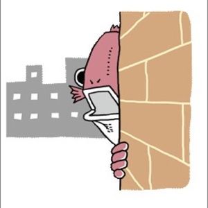 Meet your Posher, Stella