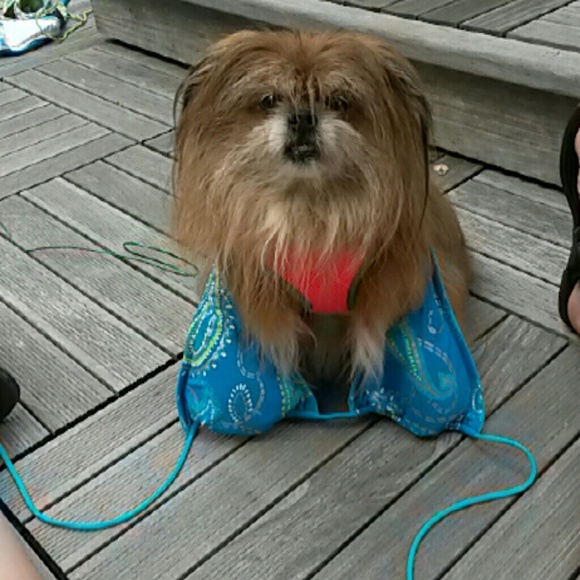 Reversible string bikini - Picture 3 of 3