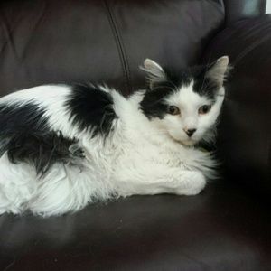 Meet your Posher, Sharyn