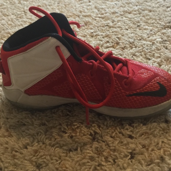 Lebron James 12 Heart of the Lion