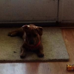 Meet your Posher, Aslynn