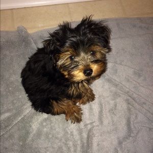 Meet your Posher, Angela