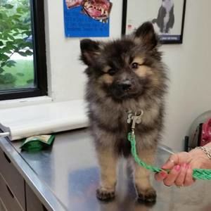 Meet your Posher, Terry