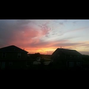 Meet your Posher, Renee