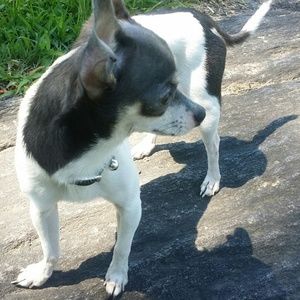 Meet your Posher, Latoya