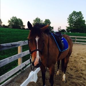 Meet your Posher, Leah