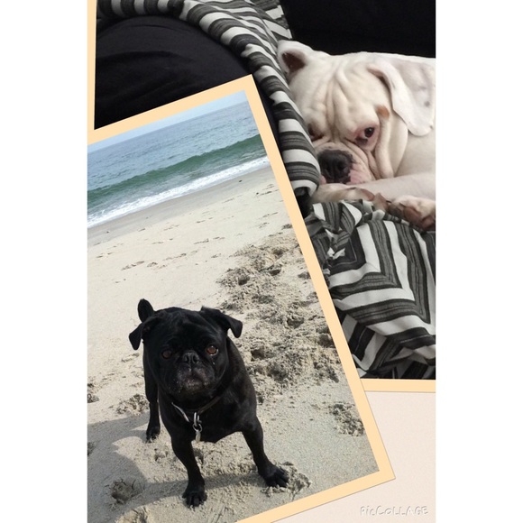 Hi! My name is Erin...it's nice to meet youπ - Picture 3 of 4