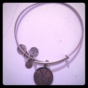 ALEX & ANI FRIEND