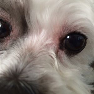 Meet your Posher, Ali