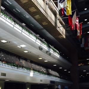 Meet your Posher, Jovita