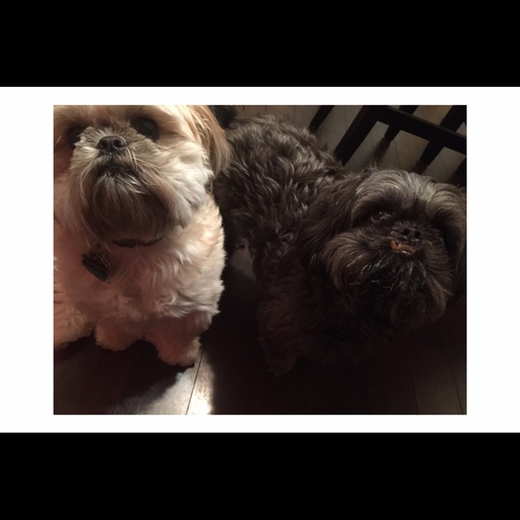 More Pics - Picture 4 of 4