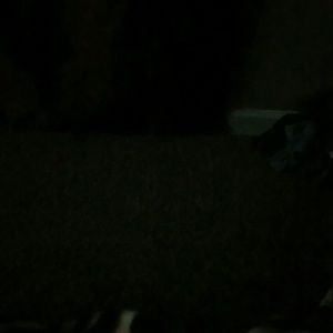 Meet your Posher, Dwight