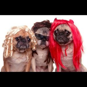 Meet your Posher, Marisa