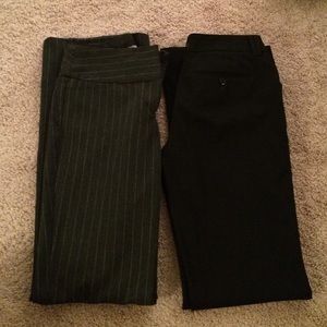 Express Dress Pant Bundle
