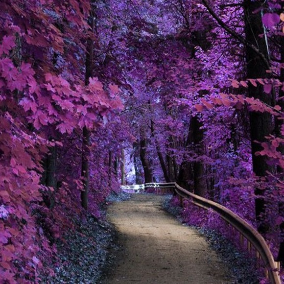 Background - Picture 1 of 1